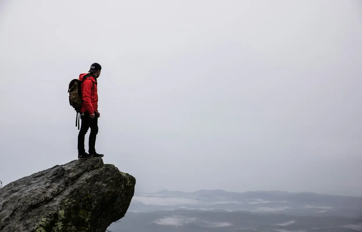 /media/sw2hplj4/ashley-knedler-pf5pj7a5dda-unsplash.jpg?width=1250&amp;height=800&amp;format=WebP